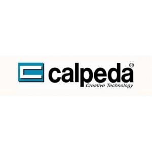 CALPEDA PUMPS (ITALY),Calpeda pump,CALPEDA,Pumps, Valves and Accessories/Pumps/Water & Water Treatment