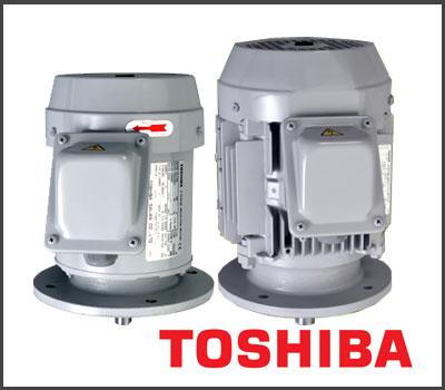 induction motor ,มอเตอร์ไฟฟ้า TOSHIBA,มอเตอร์ TOSHIBA,motor toshiba,TOSHIBA,Machinery and Process Equipment/Engines and Motors/Motors