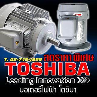 motor toshiba,มอเตอร์ไฟฟ้า โตชิบา,induction motor,motor toshiba,มอเตอร์ toshiba,TOSHIBA,Machinery and Process Equipment/Engines and Motors/Motors