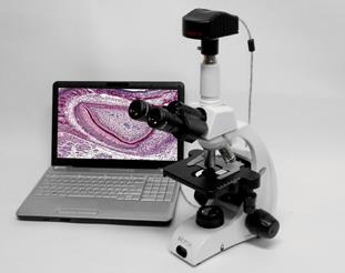 Imaging Microscope,Microscope,MICROS,Instruments and Controls/Microscopes