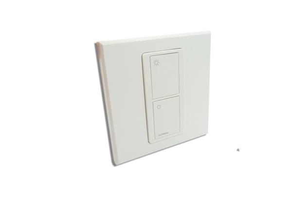 Pico Single Gang Face Plate,lutron,LUTRON, USA,Instruments and Controls/Switches