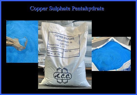 Copper Sulphate Pentahydrate,Copper Sulphate , คอปเปอร์ซัลเฟต , Copper Sulfate,,Chemicals/General Chemicals