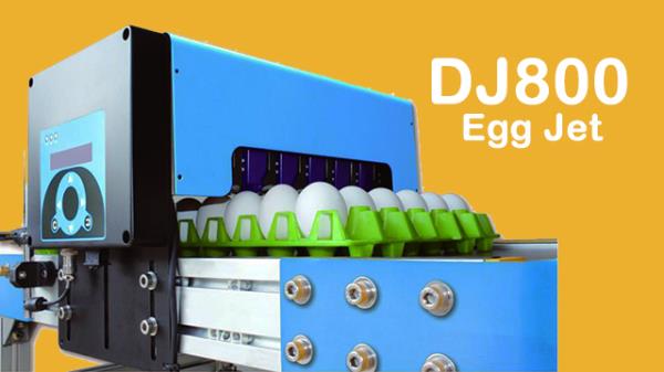 เครื่องพิมพ์เปลือกไข่,เครื่องพิมพ์เปลือกไข่,egg shell printer,Dotjet,Materials Handling/Marking Devices