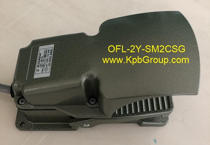 OJIDEN Foot Switch OFL-2Y-SM2CSG,OJIDEN, Foot Switch, OFL-2Y-SM2CSG,OJIDEN,Instruments and Controls/Switches