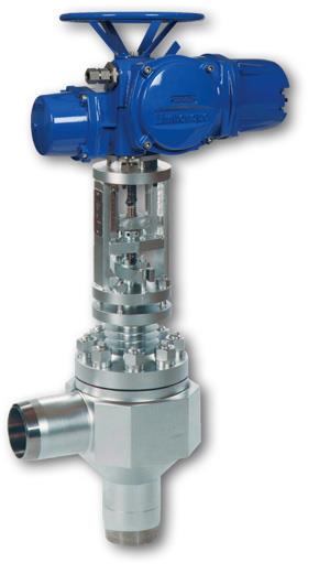 Control valves ZK with radial stage nozzle,Control valve, Radial stage nozzle,Flowserve Gestra,Pumps, Valves and Accessories/Valves/Flow Control Valves