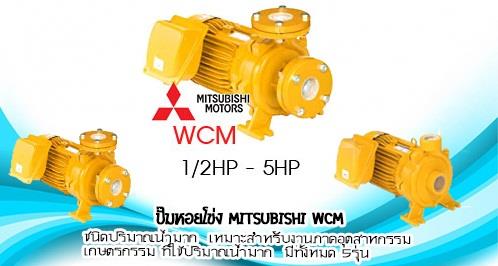 ปั๊มหอยโข่ง Mitsubishi WCM,ปั๊มหอยโข่ง,MITSUBISHI,Pumps, Valves and Accessories/Pumps/Electric