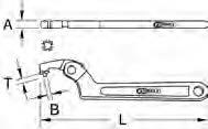 Flexible hook wrench with pin