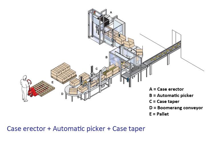 เครื่องตั้งกล่อง บรรจุกล่อง Cartoning Fully Automatic Case Former & Erector