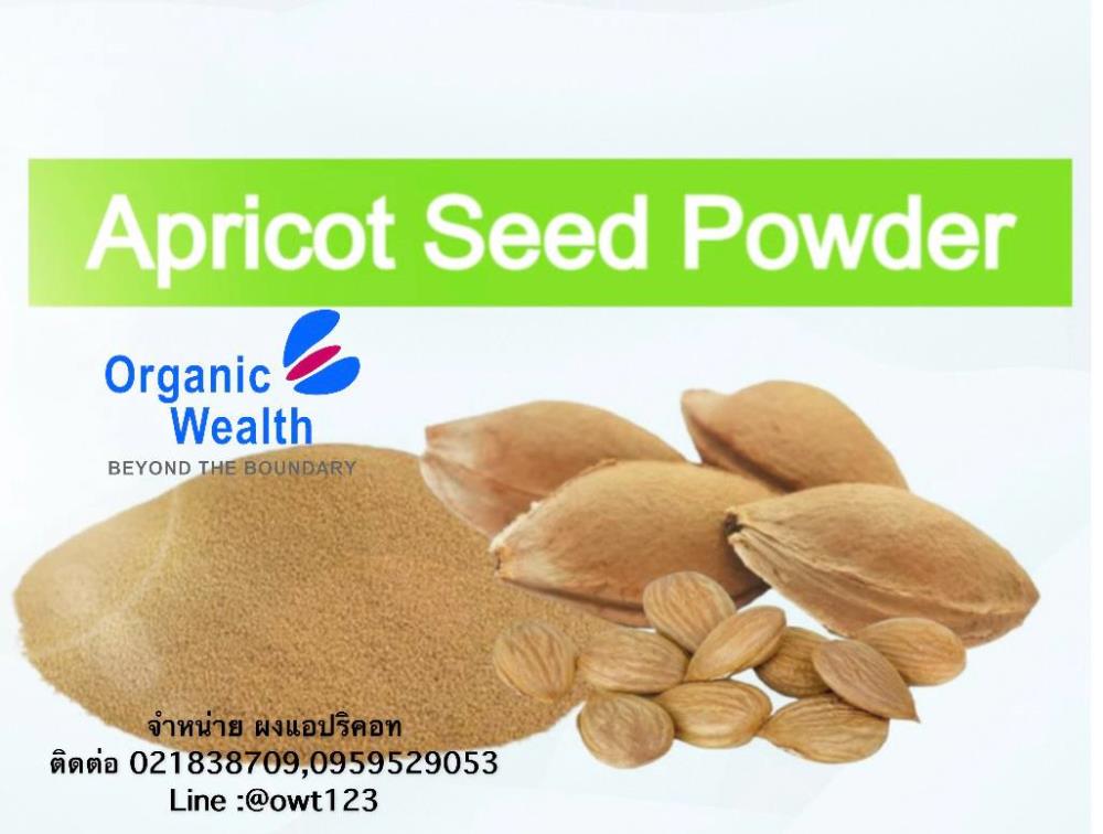 Walnut Shell Scrub Powder (ผงวอลนัท)