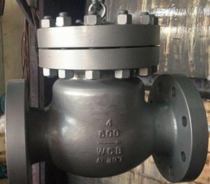 Titanium Ansi Swing check valve