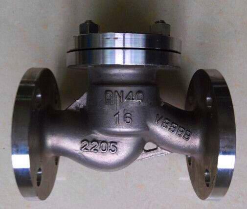 Titanium Ansi Swing check valve