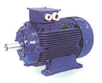 MarelliMotori Motor,MarelliMotori,MarelliMotori,Machinery and Process Equipment/Engines and Motors/Motors