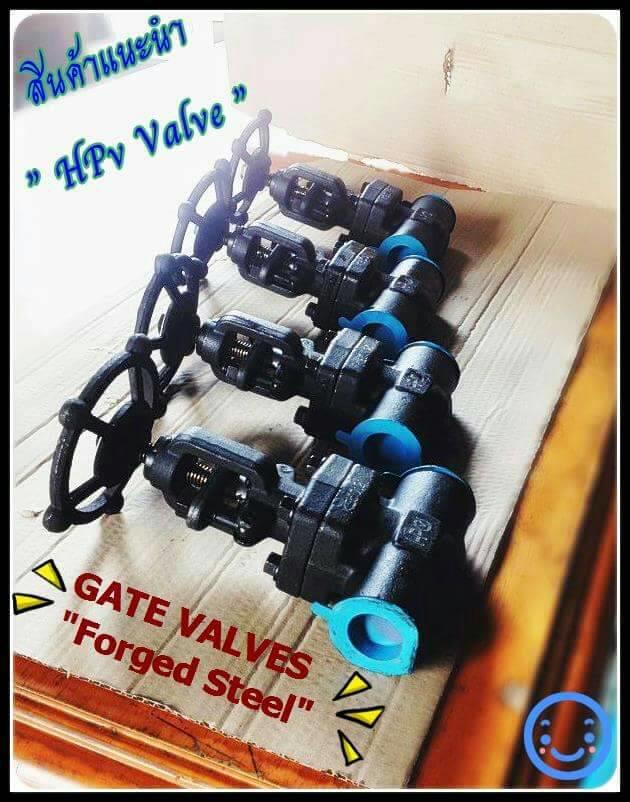 A105 Forged steel globe valve ,gate valve,check valve,A105 Forged steel globe valve ,gate valve,check valve #800 #1500,HP,Pumps, Valves and Accessories/Valves/Gate Valves