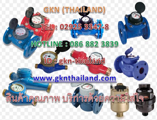 WATER METER (มิเตอร์น้ำ),WATER METER, มิเตอร์น้ำ, ITRON WATER METER, ITRON มิเตอร์น้ำ,ITRON,Instruments and Controls/Meters