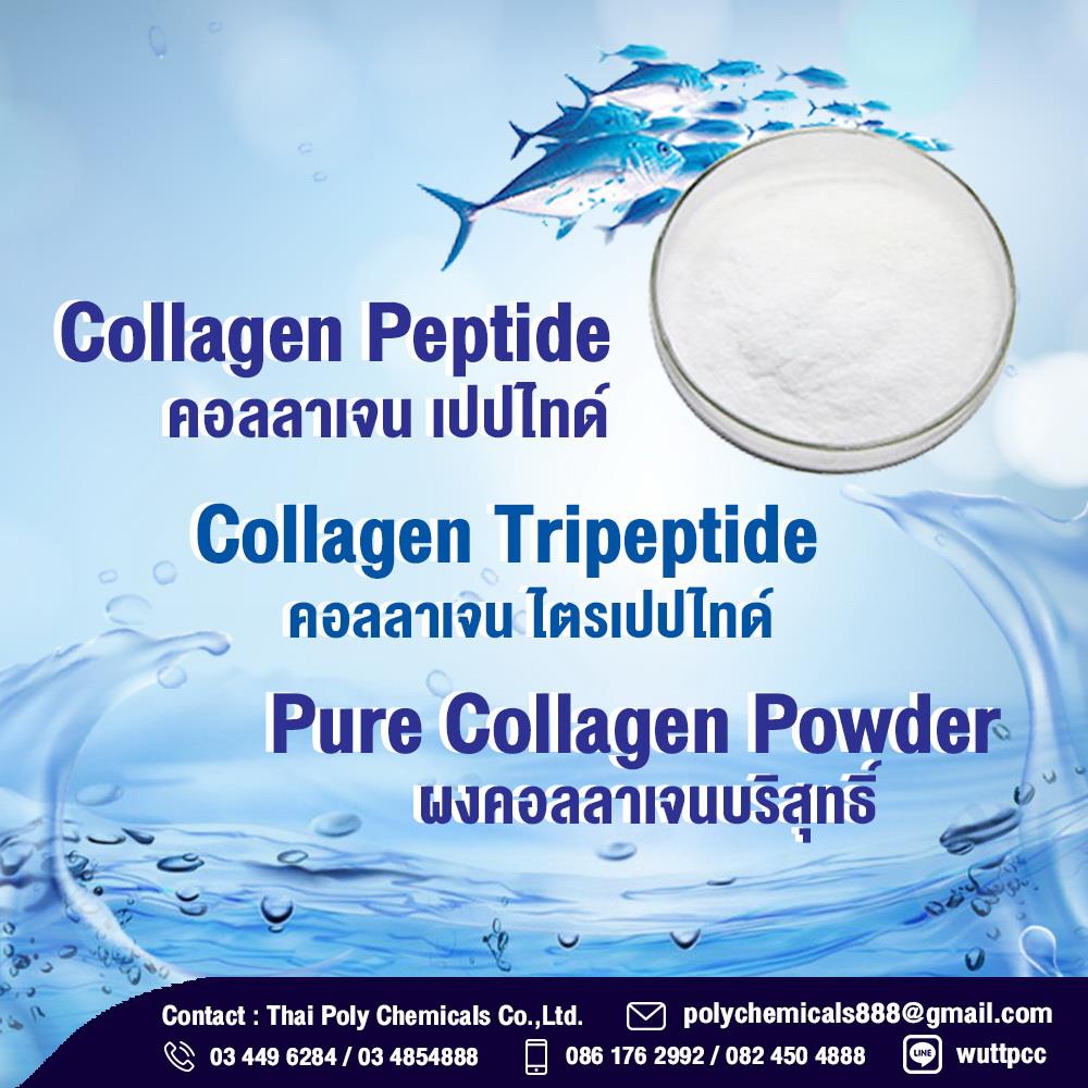 คอลลาเจน บริสุทธิ์, Pure Collagen, คอลลาเจน, Collagen,คอลลาเจน บริสุทธิ์, Pure Collagen, คอลลาเจน, Collagen, ขายคอลลาเจน, จำหน่ายคอลลาเจน, นำเข้าคอลลาเจน, ส่งออกคอลลาเจน, ผลิตคอลลาเจน,คอลลาเจน บริสุทธิ์, Pure Collagen, คอลลาเจน, Collagen,Chemicals/General Chemicals
