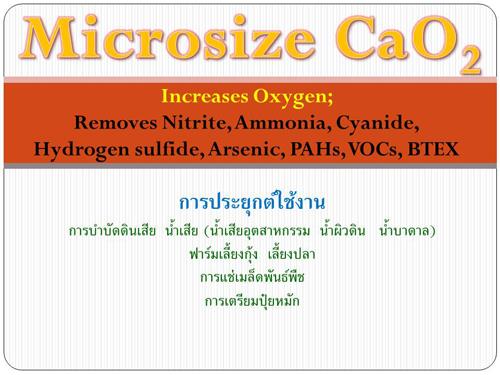 Microsize 30% CaO2 solution ปลดปล่อยอ๊อกซิเจน บ่อเลี้ยงกุ้ง-ปลา บำบัดน้ำเสีย บำบัดดินเสีย,calcium peroxide, oxygen release, water treatment, แคลเซียมเปอร์ออกไซด์, antibiotic, aquaculture, enrofloxacin, hormone, biodegradation, Oxytetracycline, alpha-methyltestosterone,30% calcium peroxide (Microsize CaO2 solution) water remediation- กำจัดสารพิษตกค้าง,Chemicals/Calcium/Calcium Oxide