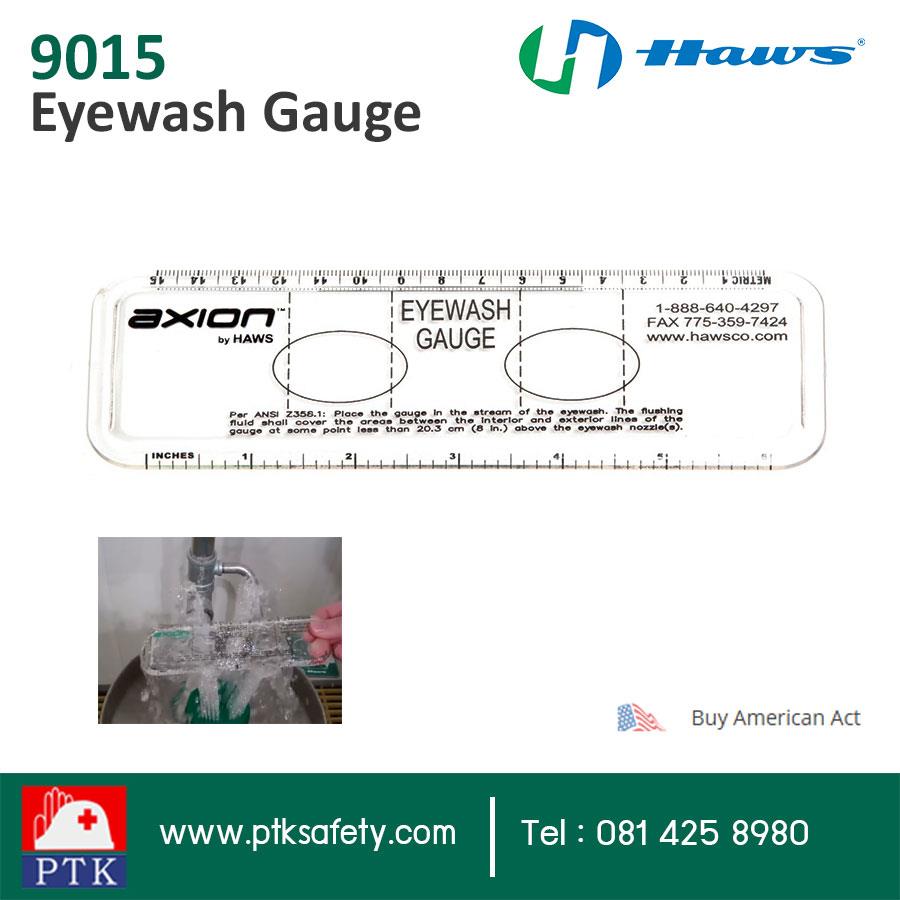 Eyewash Gauge Model 9015,เครื่องวัดระดับน้ำ,Haws,Plant and Facility Equipment/Safety Equipment/Emergency Equipment
