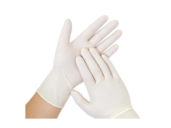 ถุงมือยาง มีแป้ง ถูกที่สุด ศรีตรังโกลฟส์ ถุงมือศรีตรัง ถุงมือแพทย์ ถุงมืออเนกประสงค์ กล่องสีม่วง 100 ชิ้น/กล่อง