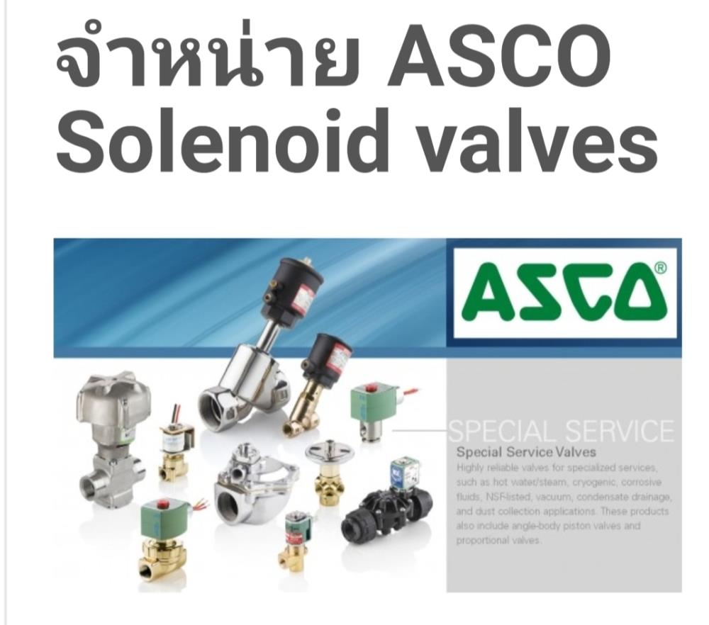 Asco,Asco ,piston valve, redhat, asco thailand,Asco,Pumps, Valves and Accessories/Valves/Solenoid Valve