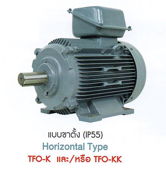 มอเตอร์ไฟฟ้า HITACHI TFO,มอเตอร์ไฟฟ้า,HITACHI,Machinery and Process Equipment/Engines and Motors/Motors