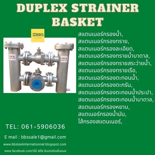Duplex Strainer Filter