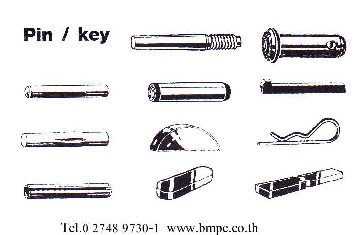 Dowel pin,Taper pin, Parallel pin, Grooved pin, Spring pin, Split pin, Cotter pin, Linch pin, Bright key, parllel key, Round head rivet,Dowel pin,Taper pin, Parallel pin, Grooved pin, Spring pin, Split pin, Cotter pin, Linch pin, Bright key, parllel key, Round head rivet,Fabory,Hardware and Consumable/Fasteners