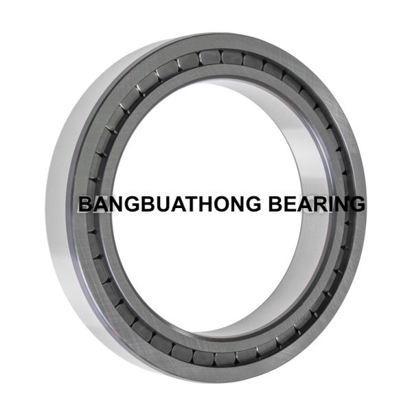 SL 18 2932 B XL  INA FULL COMPLEMENT CYLINDRICAL ROLLER BEARING,SL 18 2932 B,INA,Machinery and Process Equipment/Bearings/Roller