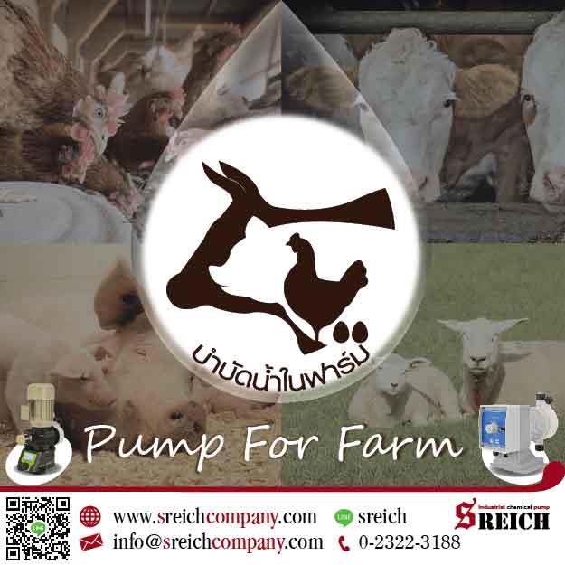 คุณภาพของสัตว์เลี้ยงในฟาร์มที่ดี เริ่มจากน้ำ Pump for Farm