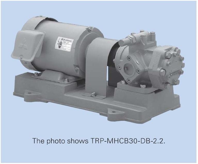TERAL Oil Pump TRP-MHCB-DBT-3.7 Series,TRP-MHCB-DBT-3.7, TRP-MHCB30-DBT-3.7, TRP-MHCB40-DBT-3.7, TRP-MHCB50-DBT-3.7, TRP-MHCB65-DBT-3.7, TERAL, Oil Pump, Gear Pump, Internal Gear Pump,TERAL,Pumps, Valves and Accessories/Pumps/Oil Pump