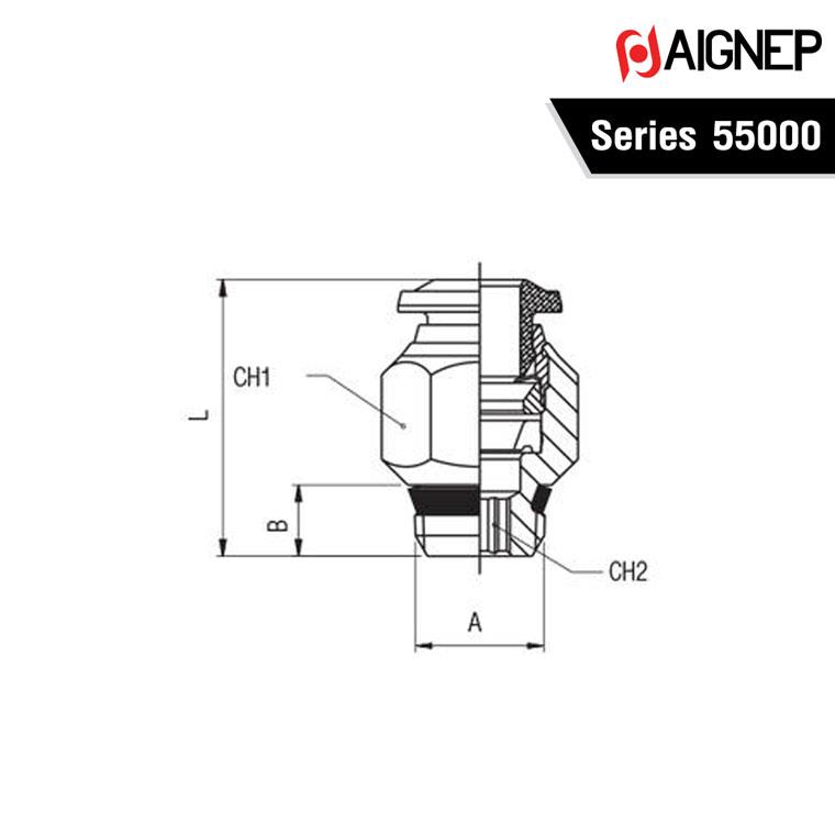 AIGNEP Series 55000
