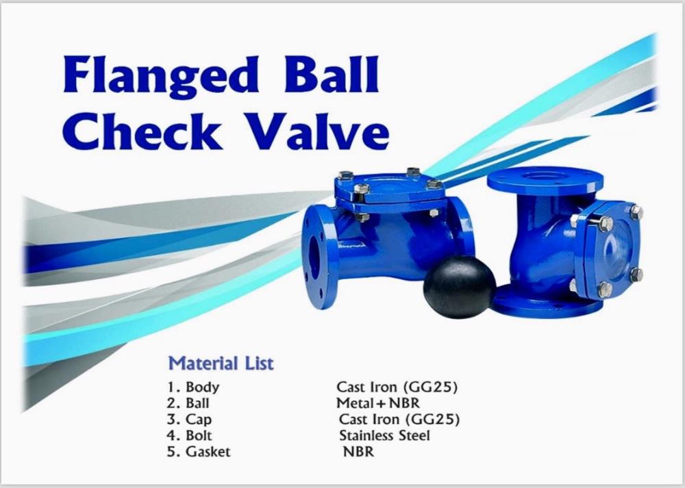 Ball Check Valve