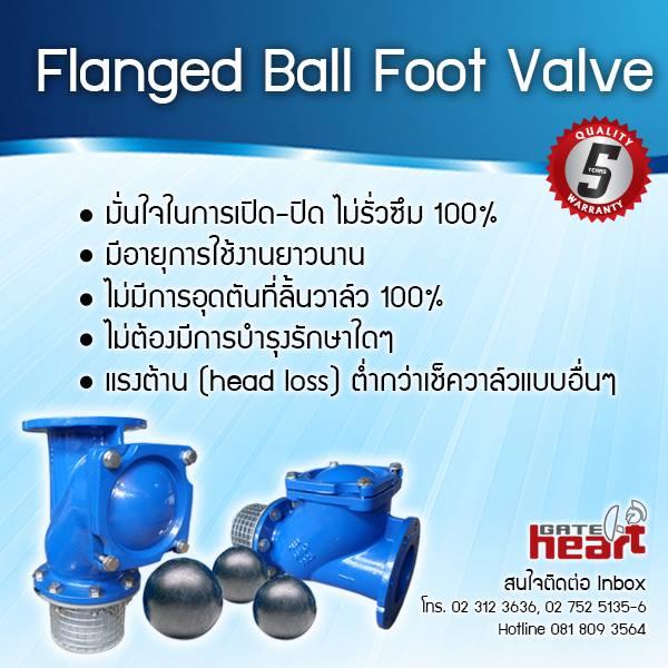 Ball Foot Valve,Foot Valve,Heartgate,Pumps, Valves and Accessories/Valves/Foot Valves
