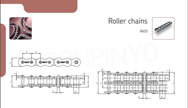 Roller Chain ANSI SKF