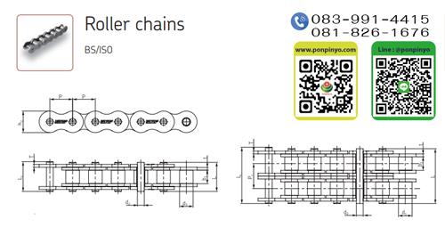 Roller Chain BS/ISO SKF