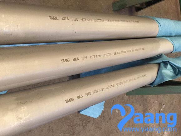 ASTM A790 UNS32750 GR2507 SMLS Super Duplex Stainless Steel Pipe DN100 SCH80S/ASTM a790 uns32750 gr2507 ไม่มีรอยต่อท่อสแตนเลส dn100 sch80s,ASTM A790 UNS32750 GR2507 SMLS Super Duplex Stainless Steel Pipe DN100 SCH80S,ASTM A790 UNS32750 GR2507 SMLS Super Duplex Stainless Steel Pipe,2507 SMLS Super Duplex Stainless Steel Pipe,UNS32750 SMLS Super Duplex Stainless Steel Pipe,2507 SMLS SUDP Pipe,yaang,Yaang,Pumps, Valves and Accessories/Pipe