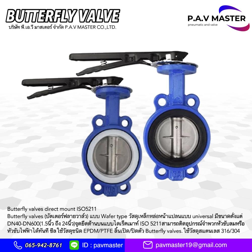 Butterfly Valve,Butterfly Valve,,Pumps, Valves and Accessories/Valves/Butterfly Valves