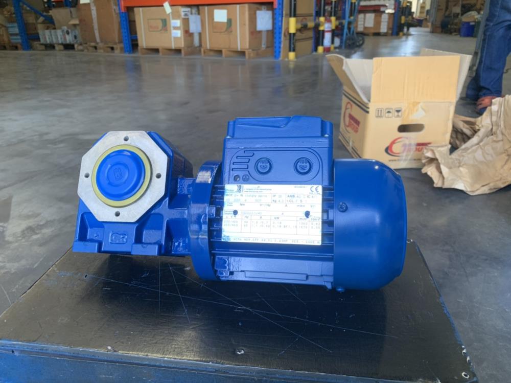 Rossi Worm Gear Motor 0.18 kw 4 pole B5 Delivery 120 days