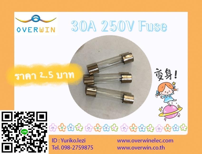 30A 250V,FUSE,,Electrical and Power Generation/Electrical Components/Fuse