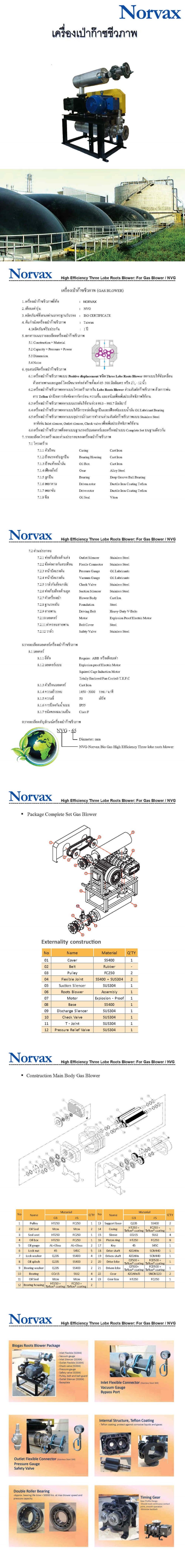 Norvax Root Blower for Biogas