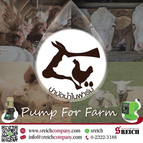 Feed pump ปั๊มฟีดวิตามิน เครื่องเติมสารละลายปรับสภาพน้ำในฟาร์มปศุสัตว์