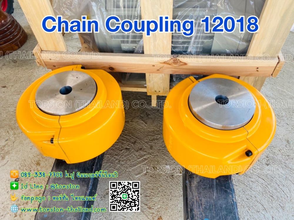 Chain Coupling 12016