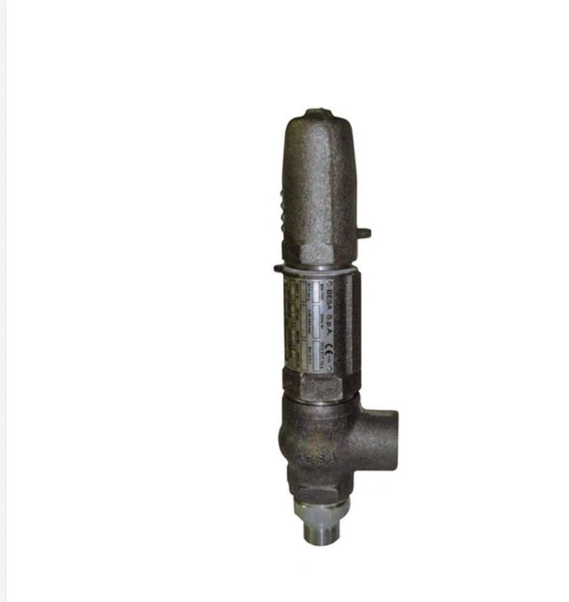 Safety Valve,Safety Vale/ Besa Safety Valve,BESA,Pumps, Valves and Accessories/Valves/Safety Relief Valve