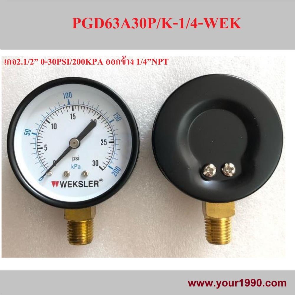 Pressure Gauge,WEKSLER/Pressure Gauge/Dry Pressure Gauge/Gauge,WEKSLER,Instruments and Controls/Gauges