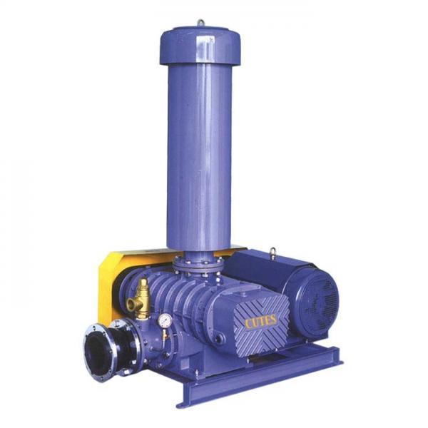 ROOT&quotS BLOWER,ROOTS BLOWER,cutes,Machinery and Process Equipment/Blowers