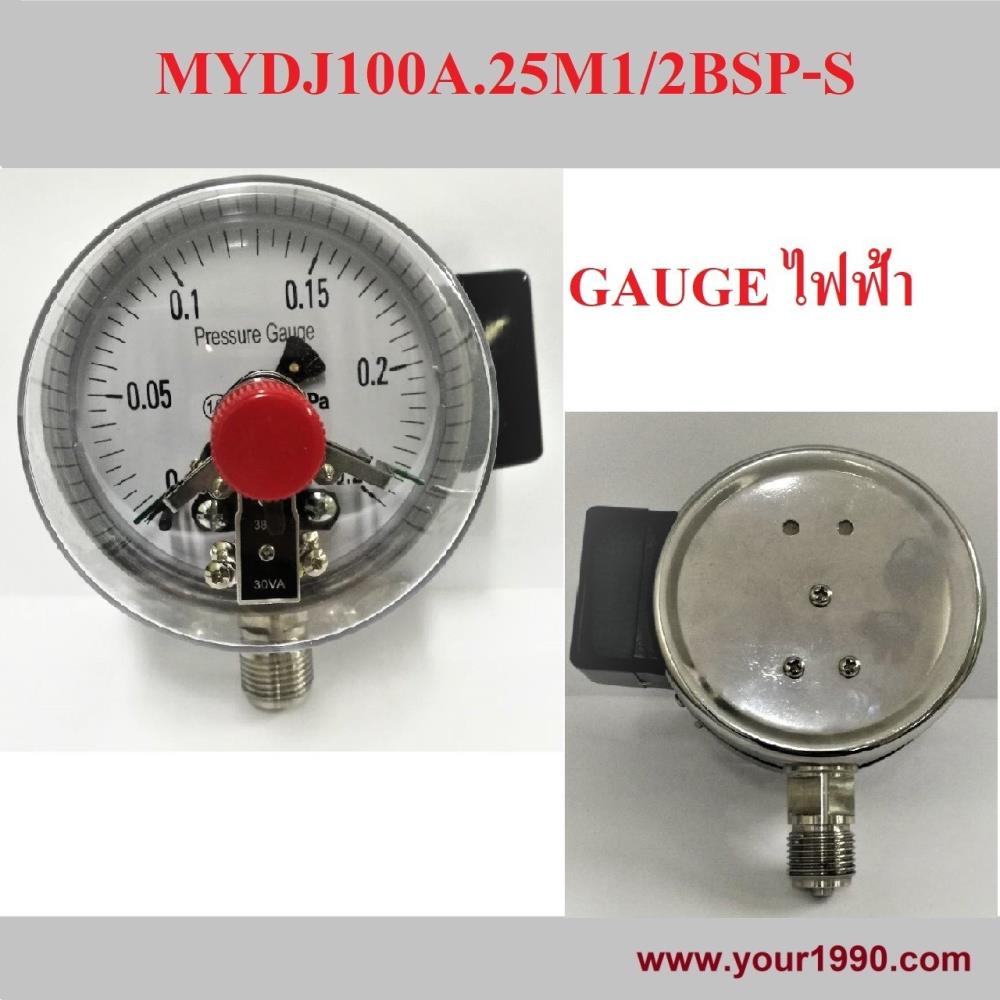 Electric Contact Pressure Gauge,Electric Gauge/Electric Contact Pressure Gauge,MC,Instruments and Controls/Gauges