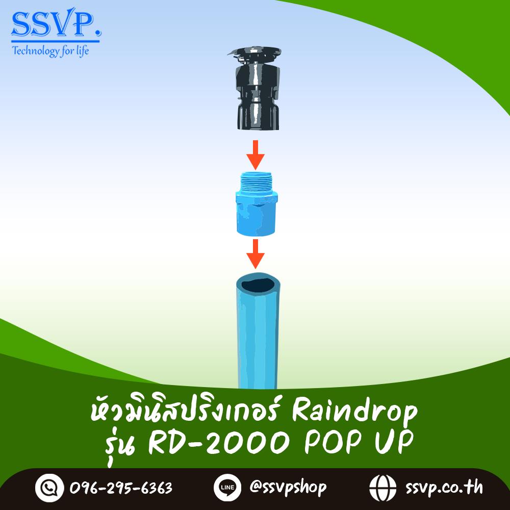 หัวจ่ายน้ำ RAINDROP RD-2000 POPUP รูน้ำสีน้ำเงิน อัตราการจ่ายน้ำ 200 ลิตร/ชม.