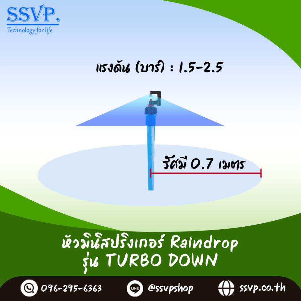 หัวจ่ายน้ำ มินิสปริงเกอร์ Raindrop TURBO DOWN-50 รูน้ำสีเทา อัตราการจ่ายน้ำ 50 ลิตร/ชม.