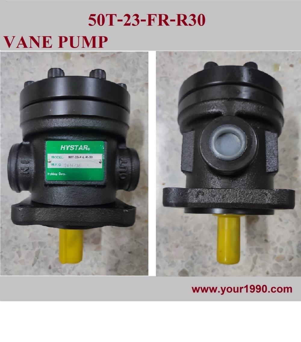 Vane Pump,Pump/Vane Pump/ปั๊ม,HYSTAR,Pumps, Valves and Accessories/Pumps/Vane Pump