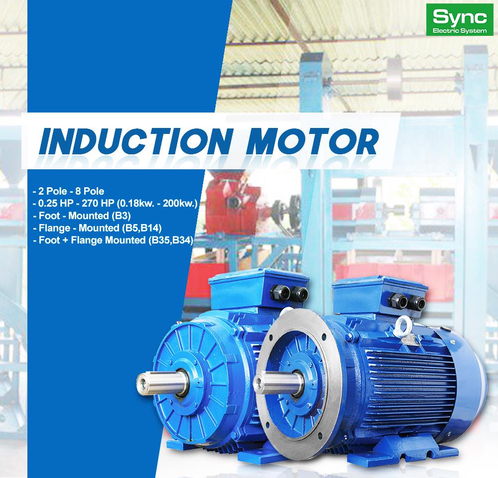 INDUCTION MOTOR  มอเตอร์ไฟฟ้าอุตสาหกรรม IP55,-,,Machinery and Process Equipment/Abrasive and Grinding Wheels