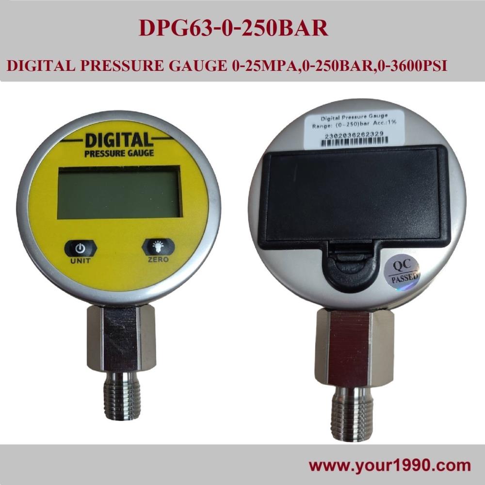 Digital Pressure Gauge,Digital Pressure Gauge,,Instruments and Controls/Gauges